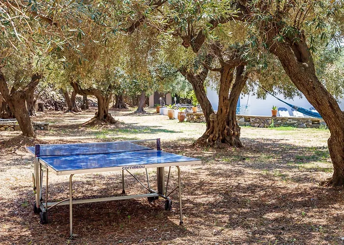 Villa Maison Traditionnelle Grecque Avec Acces Direct A La De Glysteri A Pied *